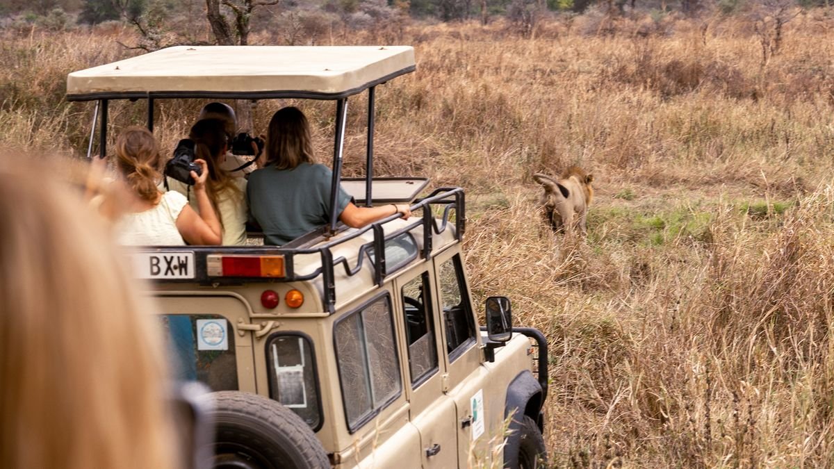 Z Zanzibaru na Safari do Rezerwatu Przyrody Selous