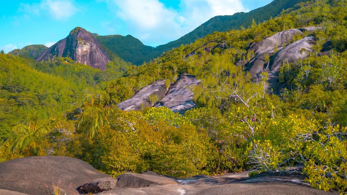 Anse Major