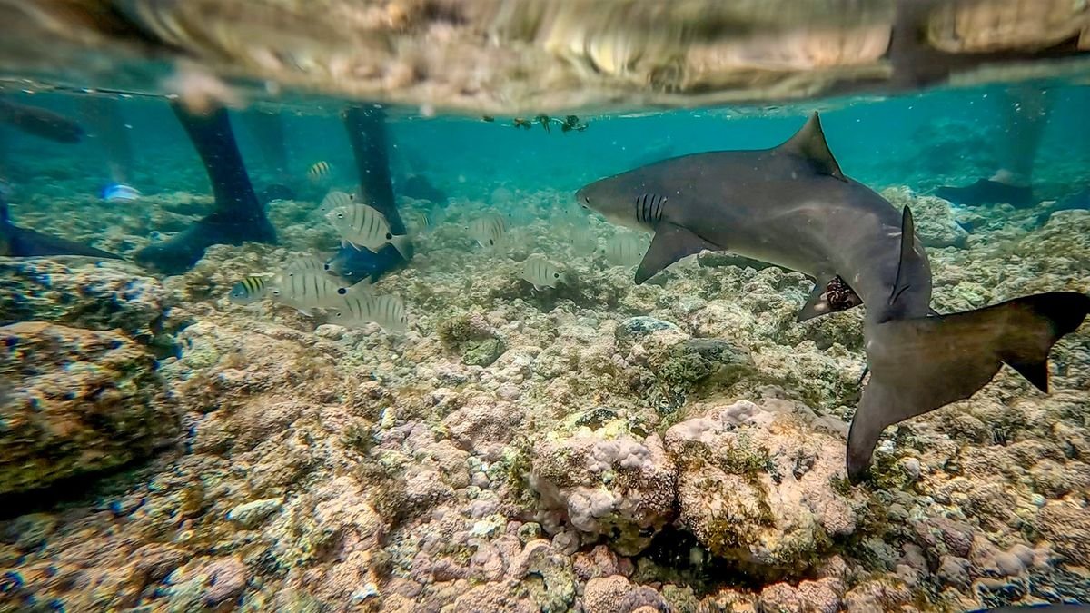 Sal – śladami słońca i wiatru