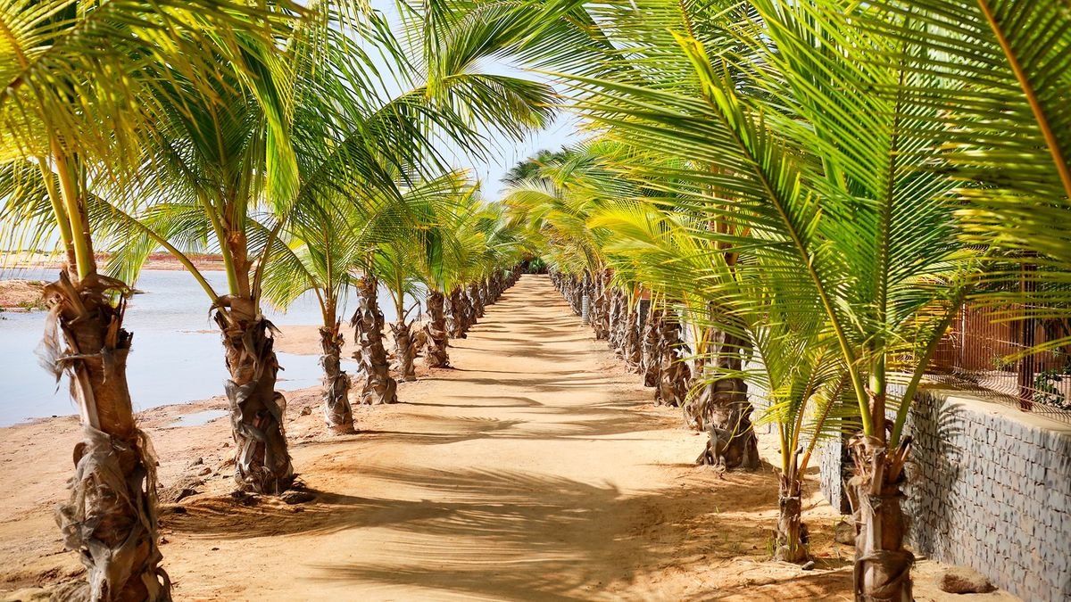 Sal – śladami słońca i wiatru