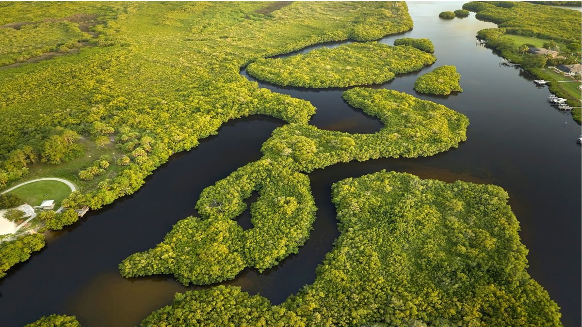 Park Narodowy Everglades