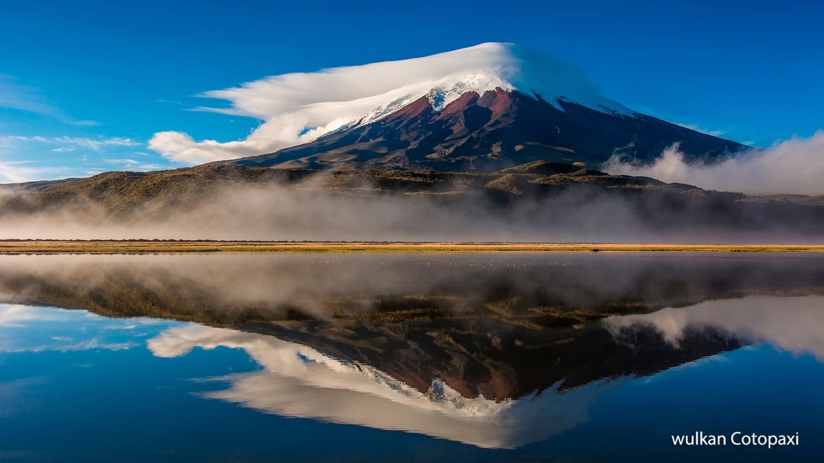 Żółwie na równiku