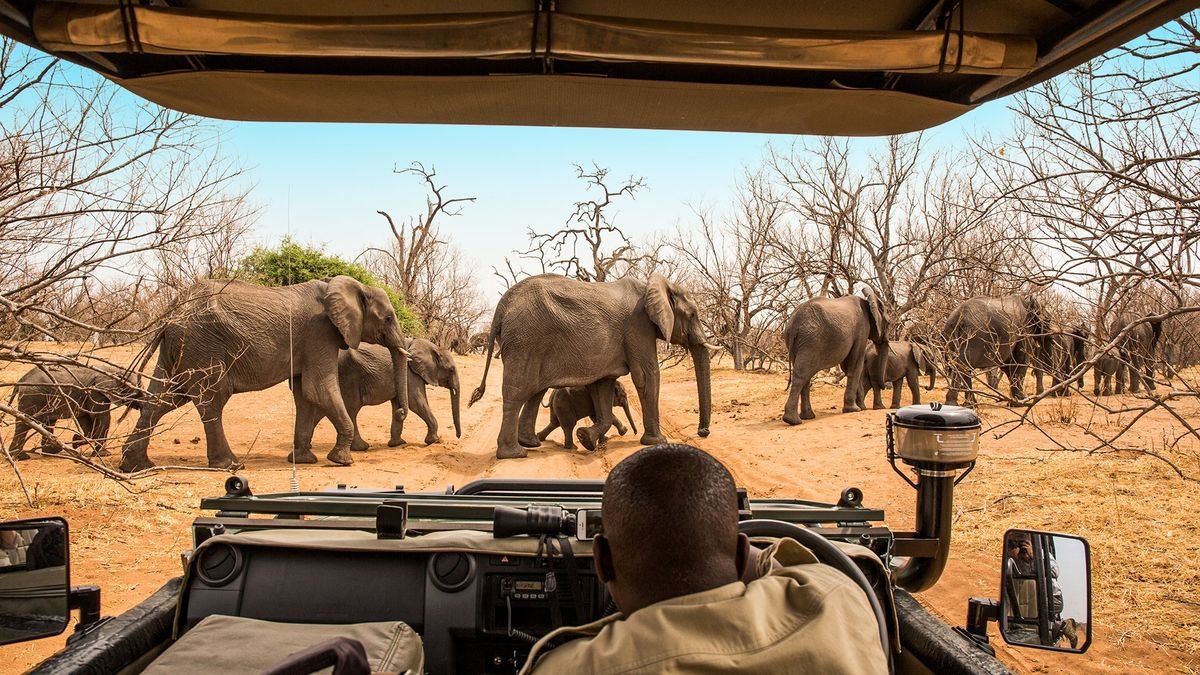 Tam, gdzie rządzi natura: Zimbabwe i Botswana