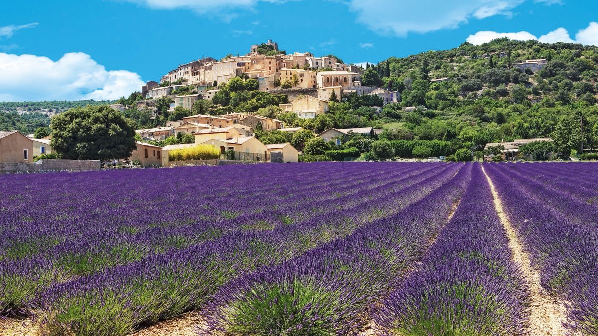 W kolorze lawendy i ochry