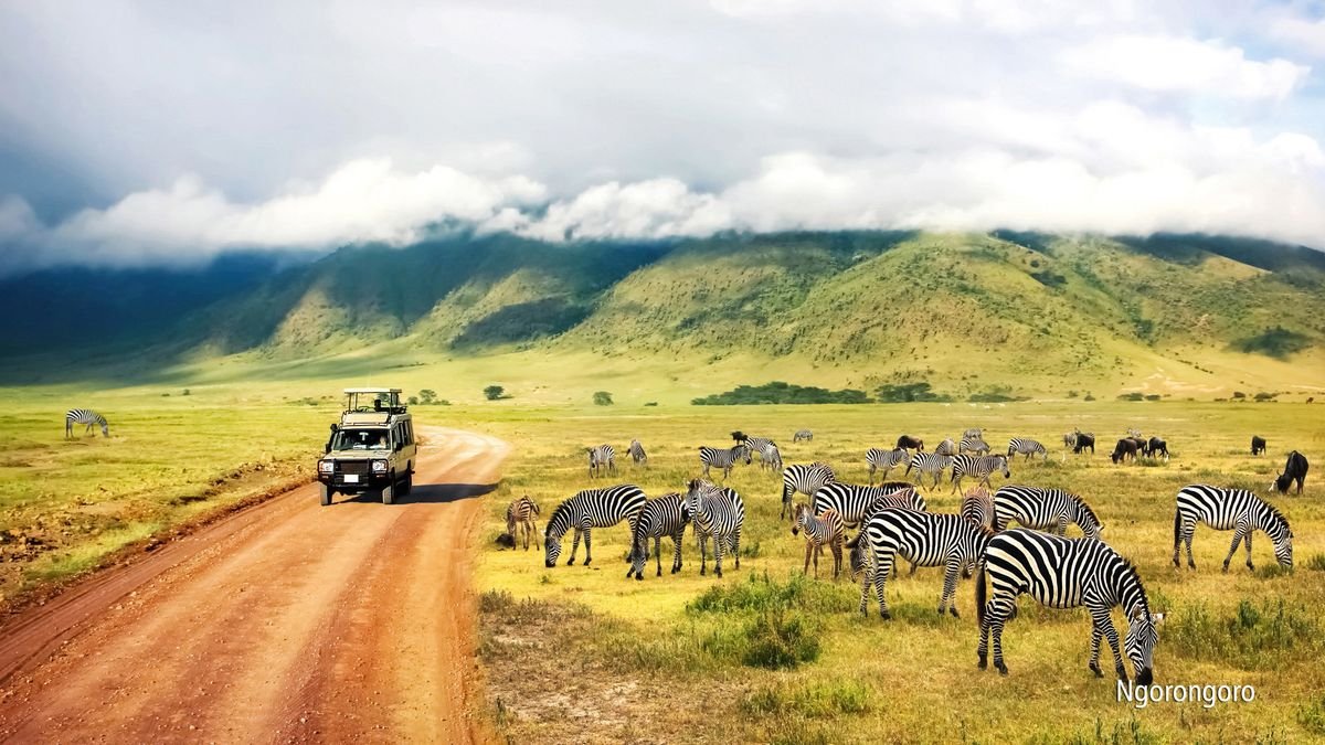 Rajskie safari Platinum