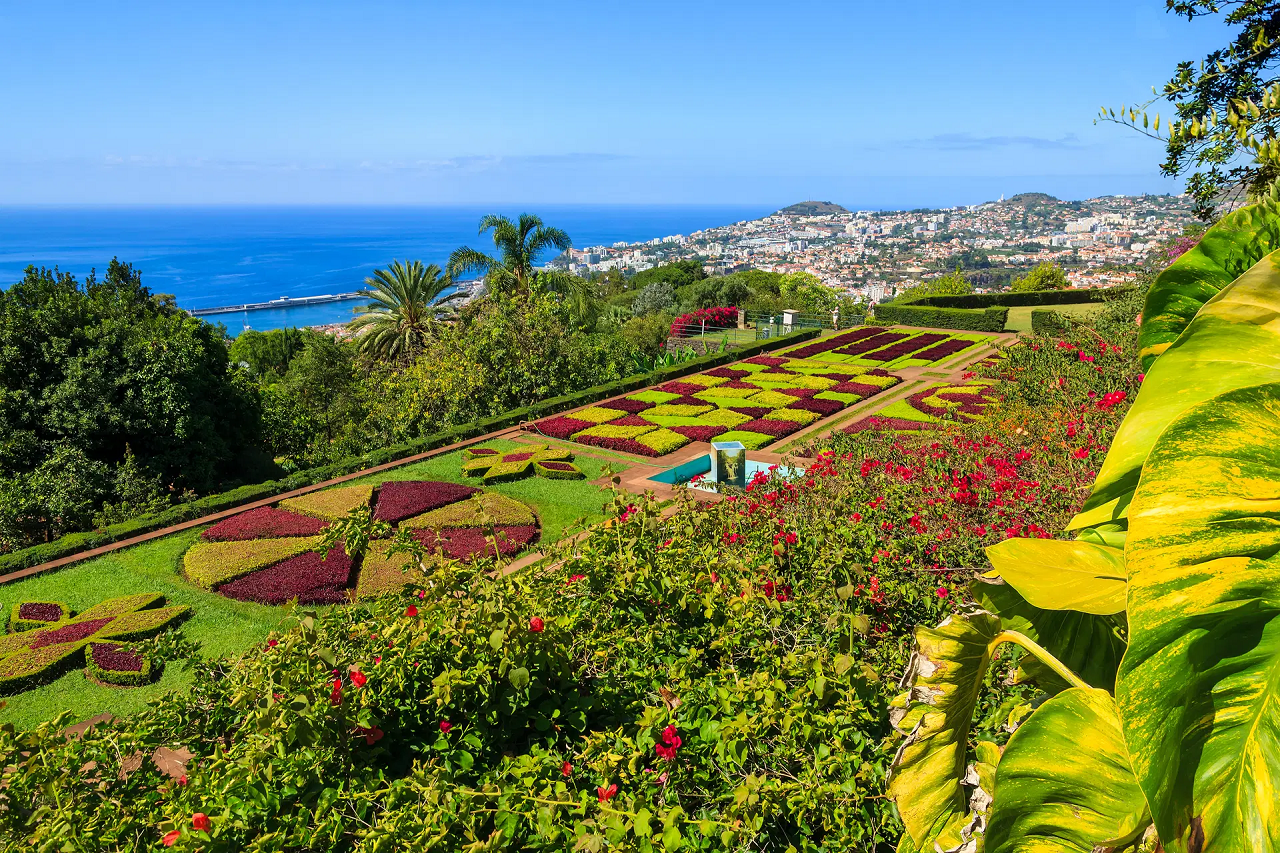 MADEIRA WYSPA WIECZNEJ WIOSNY