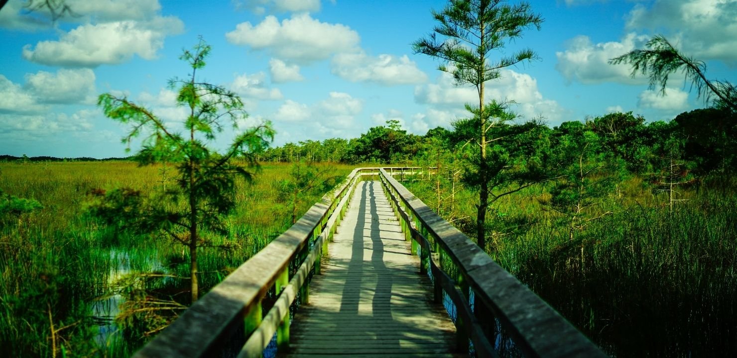 Park Narodowy Everglades