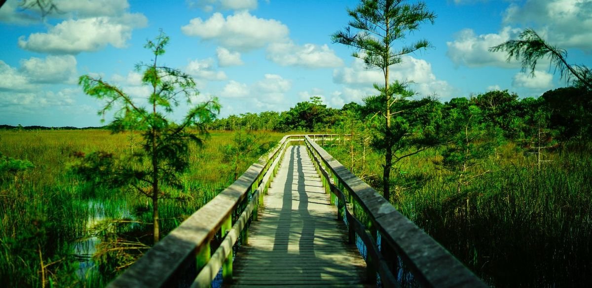 Park Narodowy Everglades