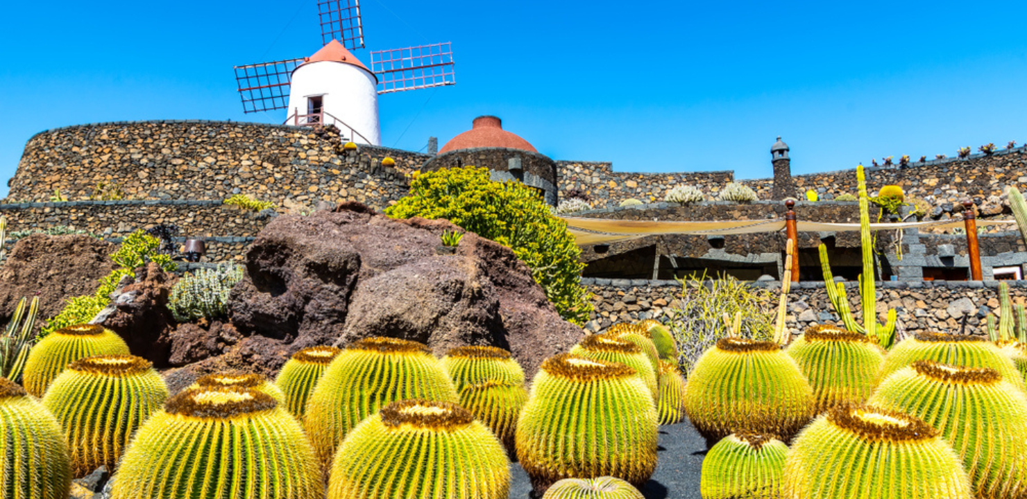 Ogród Kaktusów na Lanzarote