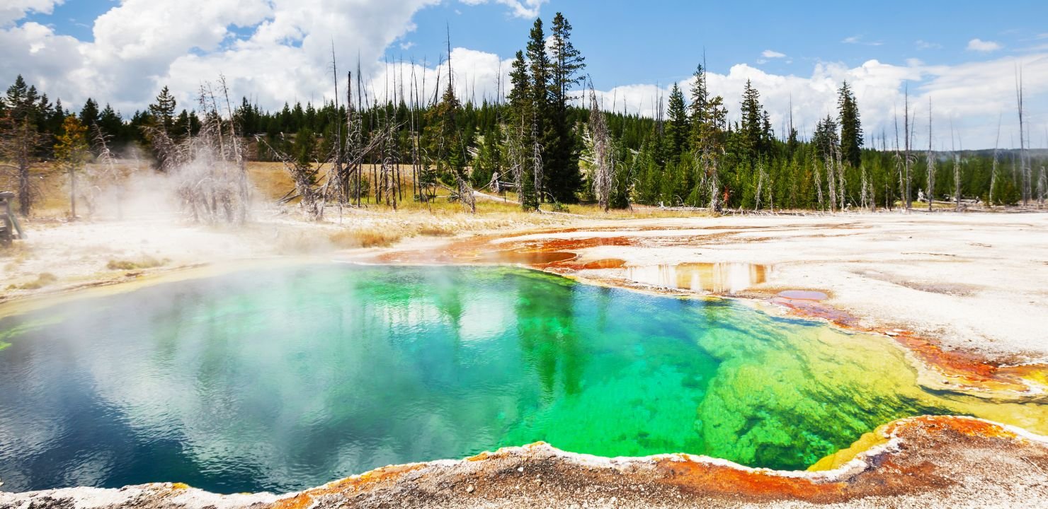 PN Yellowstone