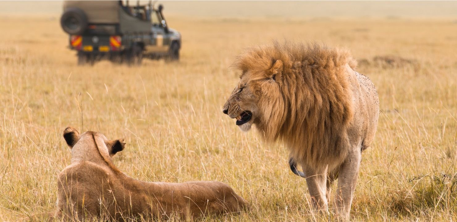 Safari Delta Okawango
