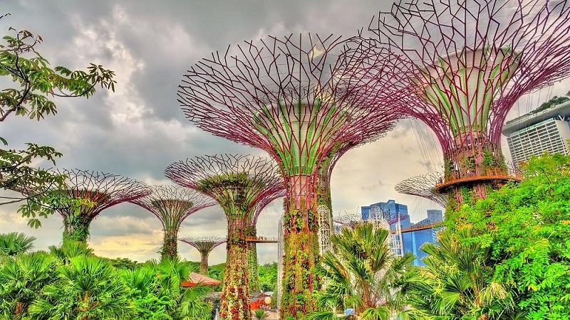 Singapur