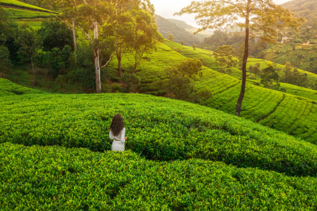 sri lanka